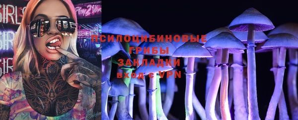 мдпв Кинешма