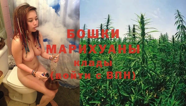 мдпв Кинешма