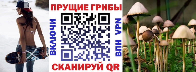 Галлюциногенные грибы GOLDEN TEACHER Лагань