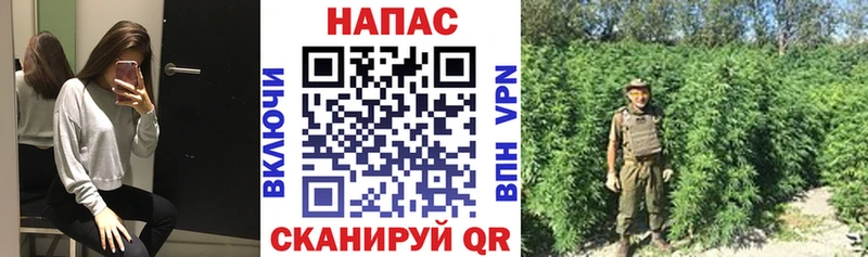 Купить где  Лагань  Канабис конопля 